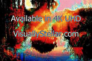 Speculative Voice - Composition VII