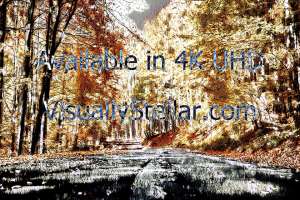 Degenerated Dialogue with Rotating Idealism