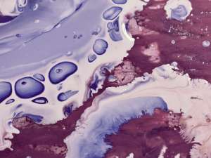Gentle fluids